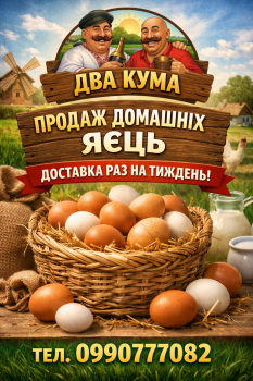 Домашні яйця 1