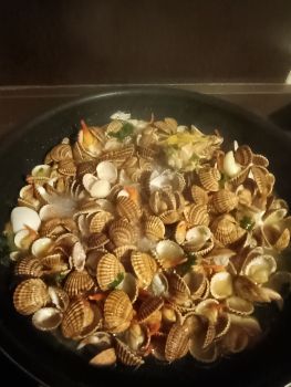 Тестове оголошення 1