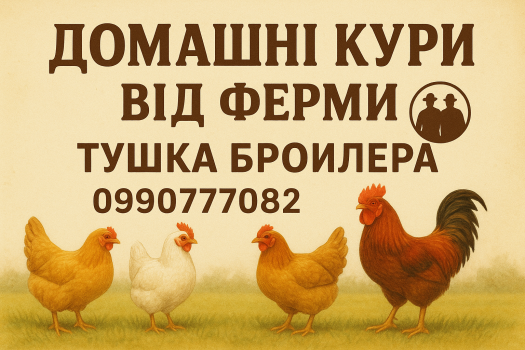 Домашня тишка бойлера