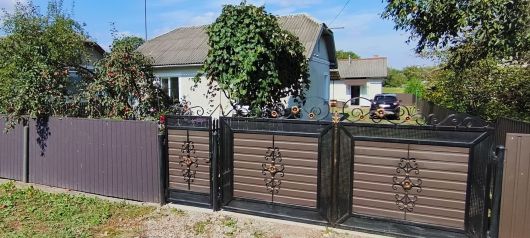 Будинок, в центрі 1