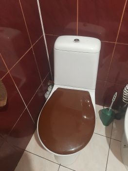 Унітаз в хорошомусані 1