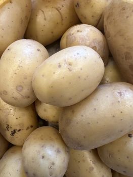 Картопля дрібна 1