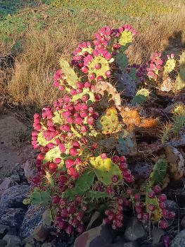 Тестове оголошення 5