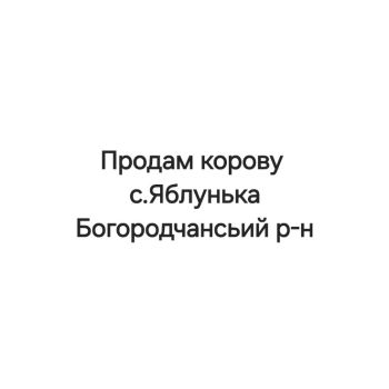 Корова, с.Яблунька 1