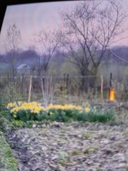 Земельна ділянка під забудову 1