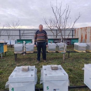 Бджолосімʼї та бджолопакети