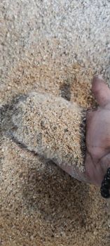 Домашній кобікорм кукурудза пшениця ячмінь