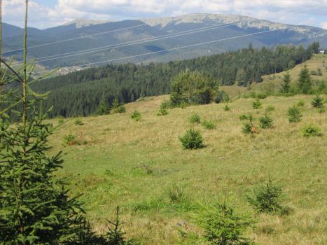 Земельна ділянка під забудову 2