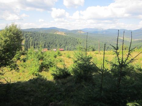 Земельна ділянка під забудову 7