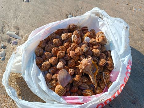 Тестове оголошення 4