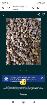 Дрібна картопля 1