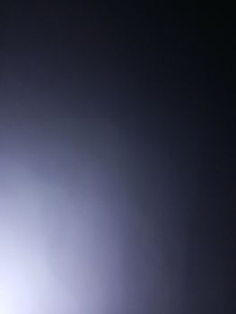 Кролики та нурії 1