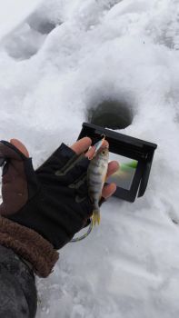 Відеосистема для риболовлі HD 15м | АКБ 8000 мАг | 3