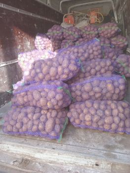 Картопля  своя