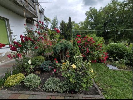 Здам 2-кімнатну квартиру 8