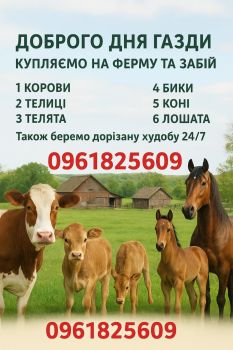 Купляємо на ферму та забій