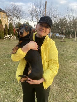 Хто загубив таксу 1