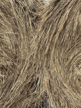 Сіно, 2025 року 1