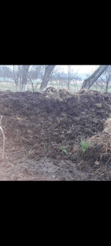 Гній для підживлення. 1