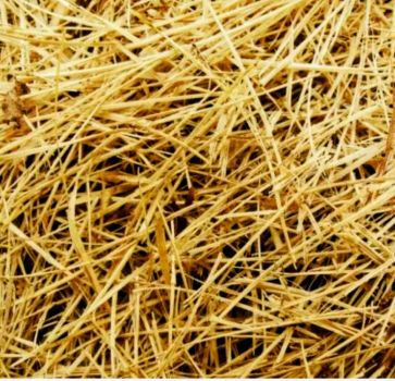 Сіно недорого продам 1