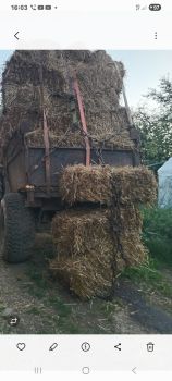 Пшеницю овес ячмінь і тюки вівсяної соломи 1