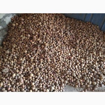 Дрібна картопля 1