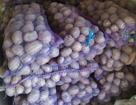 Картопля домашня 1