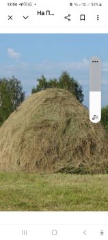 Сіно, можлива доставка 1