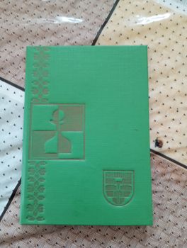 Шахмати дорожні 2