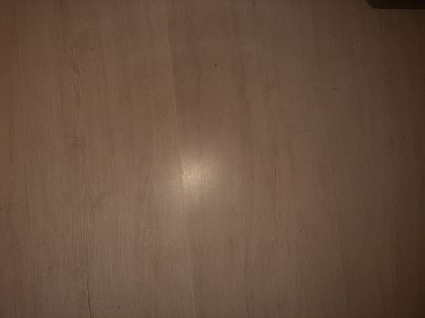 Сіно договірна. 1