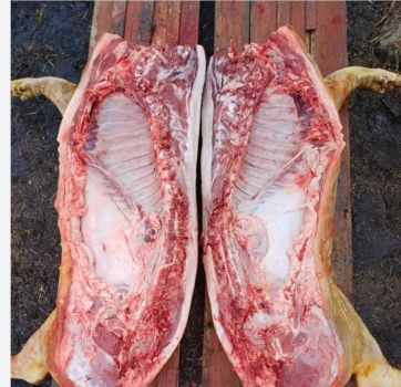 М'ясо домашньої свині,свинину 1