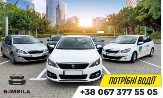 Водій таксі на ліцензовані авто