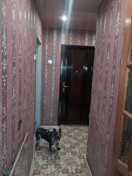 1кімната  квартира. 3