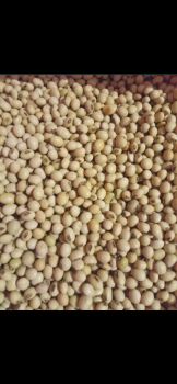 Продам сою 1