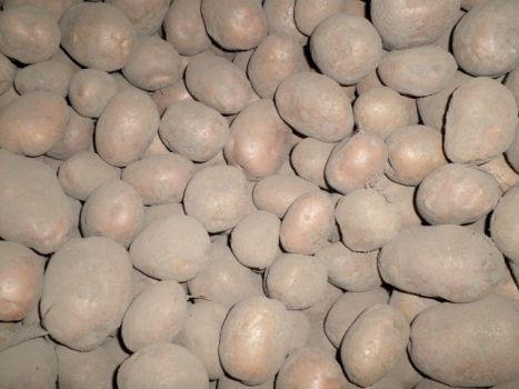 Домашня картопля