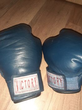 Колесо прес і бокс рукавиці 3