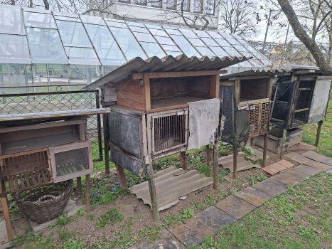 Клітки для кріликів 2