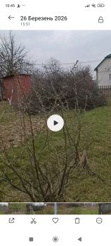 Гілля дерев плодових 1