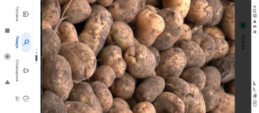 Картоплю бульбу