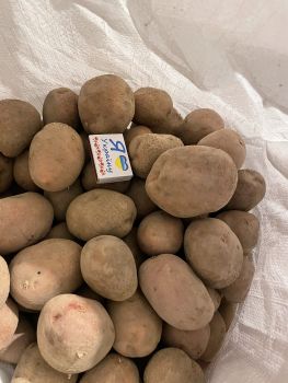 Картопля для посадки,для їжі та дріна 6