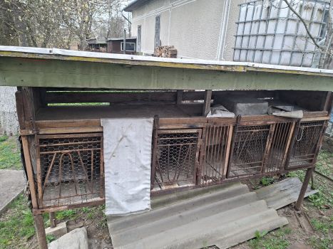 Клітки для кріликів