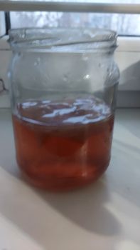 Чайний гриб комбуча 2