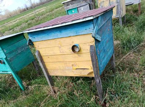 Вулики-лежаки дерев'яні, на 1 та 2 сім’ї 3