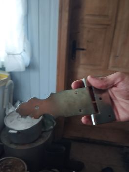 Півень домашній 1