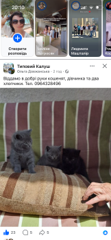 Мої наймиліші улюбленці 1