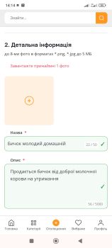 Бичок молодий домашній 1