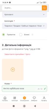 Англо нубійська коза