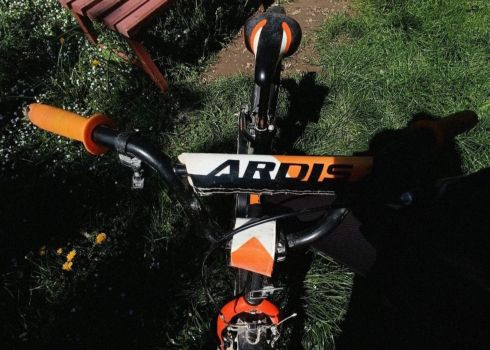 ARDIS FITNESS BMX 16  б/у 3