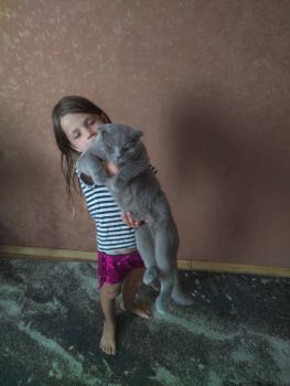 Кіт шукає дівчинку 7