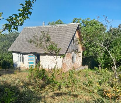 Дачна ділянка